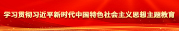 免费超逼学习贯彻习近平新时代中国特色社会主义思想主题教育